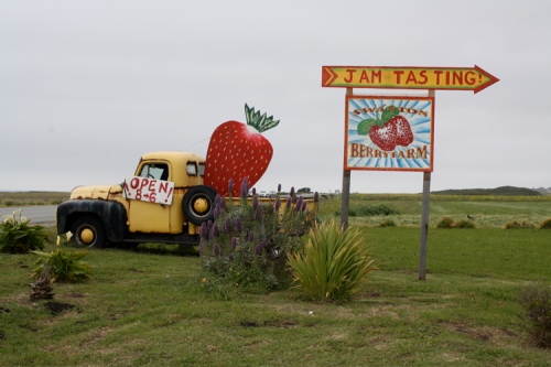 a-strawberry-truck