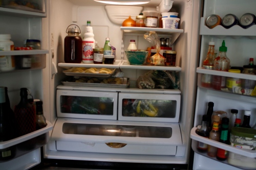 fridge-double wide!