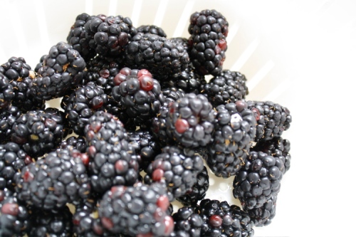 hand pies-blackberries